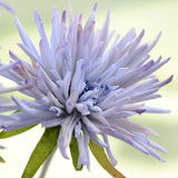 Artificial 3-head Dragon Claw Chrysanthemum Silk Flower - 1 piece