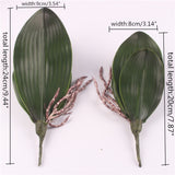 Artificial Real Touch Phalaenopsis Orchid Leaf - 1 piece