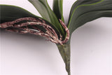 Artificial Real Touch Phalaenopsis Orchid Leaf - 1 piece