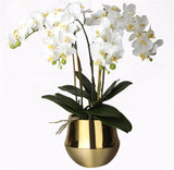 Artificial Real Touch Phalaenopsis Orchid Leaf - 1 piece