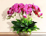 Artificial Real Touch Phalaenopsis Orchid Leaf - 1 piece