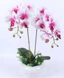 Artificial Real Touch Phalaenopsis Orchid Leaf - 1 piece