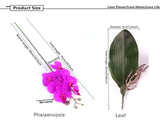 Artificial Real Touch Phalaenopsis Orchid with 1 Large Size Leaf - 1 piece