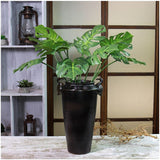 Artificial Turtle Leaf - 1 piece