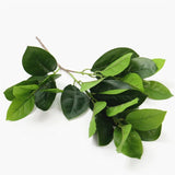 Artificial Jackfruit Leaf - 1 piece