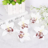 Artificial Cymbidium Orchid Flower Heads - 6 pieces