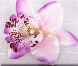 Artificial Cymbidium Orchid Flower Heads - 6 pieces