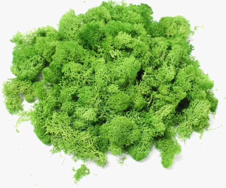 Artificial Everlasting Moss - 1 pack