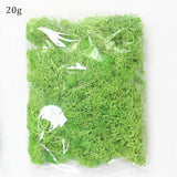 Artificial Everlasting Moss - 1 pack