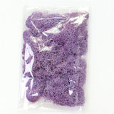 Artificial Everlasting Moss - 1 pack