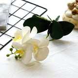 Artificial 4-head Phalaenopsis Orchid with Leaves - 1 piece