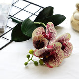 Artificial 4-head Phalaenopsis Orchid with Leaves - 1 piece