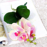 Artificial 4-head Phalaenopsis Orchid with Leaves - 1 piece