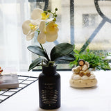 Artificial 4-head Phalaenopsis Orchid with Leaves - 1 piece