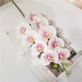 Artificial 9-head Real Touch Butterfly Orchid - 1 piece