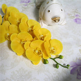 Artificial 9-head Real Touch Butterfly Orchid - 1 piece