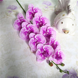 Artificial 9-head Real Touch Butterfly Orchid - 1 piece