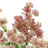 Artificial Dandelion Snow Lotus Flower - 1 piece