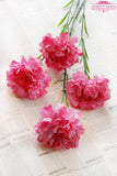 Artificial Silk Carnation Flower - 11 pieces