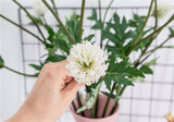 Artificial Windflower Chrysanthemum Flower - 1 piece