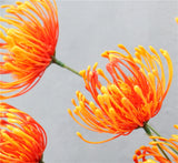 Artificial 5-head Chrysanthemum Lotus Emperor Flower - 1 piece