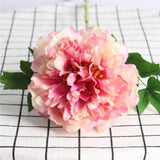 Artificial Single European Silk Peony Flower - 1 piece