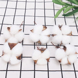 Artificial Cotton Head - 6 pieces