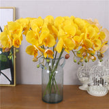 Artificial Real Touch Phalaenopsis Orchid with 1 Large Size Leaf - 1 piece