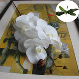 Artificial Real Touch Phalaenopsis Orchid with 1 Large Size Leaf - 1 piece