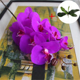 Artificial Real Touch Phalaenopsis Orchid with 1 Large Size Leaf - 1 piece