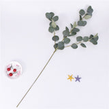 Artificial Rattan Vine Silk Eucalyptus Money Leaf - 1 piece