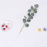 Artificial Rattan Vine Silk Eucalyptus Money Leaf - 1 piece